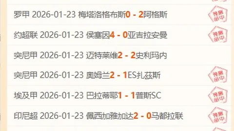 “裁判缺席场中，球员与俱乐部成替罪羊之谜揭晓”